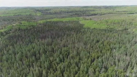 280 Acres County Road Ccn, Ishpeming, MI 49849 photo 38