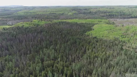 280 Acres County Road Ccn, Ishpeming, MI 49849 photo 41