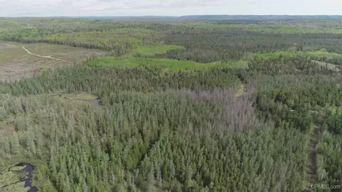 280 Acres County Road Ccn, Ishpeming, MI 49849 photo 23