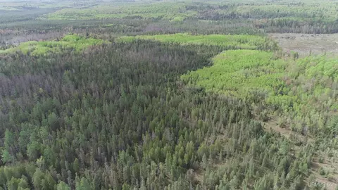 280 Acres County Road Ccn, Ishpeming, MI 49849 photo 42