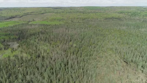 280 Acres County Road Ccn, Ishpeming, MI 49849 photo 33