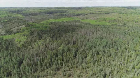 280 Acres County Road Ccn, Ishpeming, MI 49849 photo 35