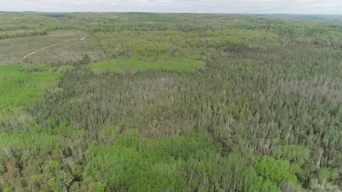 280 Acres County Road Ccn, Ishpeming, MI 49849 photo 28