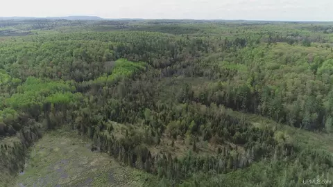 280 Acres County Road Ccn, Ishpeming, MI 49849 photo 10