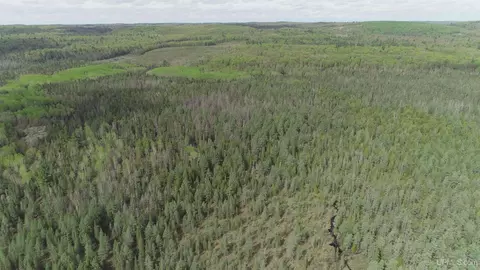 280 Acres County Road Ccn, Ishpeming, MI 49849 photo 34