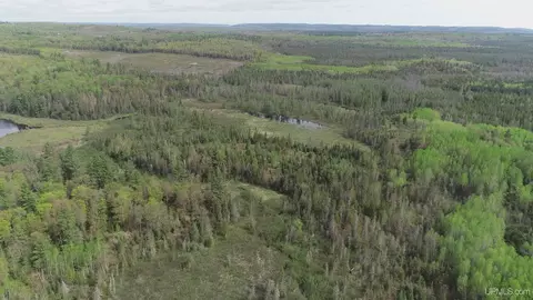 280 Acres County Road Ccn, Ishpeming, MI 49849 photo 18