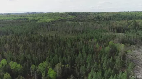 280 Acres County Road Ccn, Ishpeming, MI 49849 photo 2