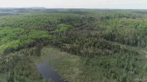 280 Acres County Road Ccn, Ishpeming, MI 49849 photo 9