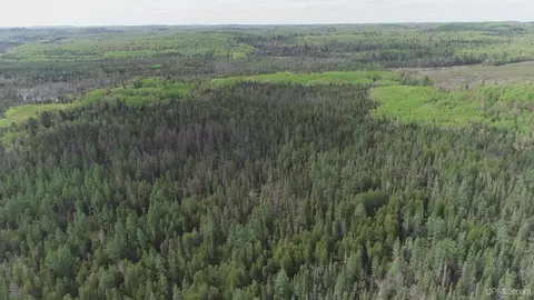 280 Acres County Road Ccn, Ishpeming, MI 49849 photo 39