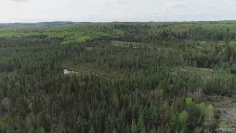 280 Acres County Road Ccn, Ishpeming, MI 49849 photo 3