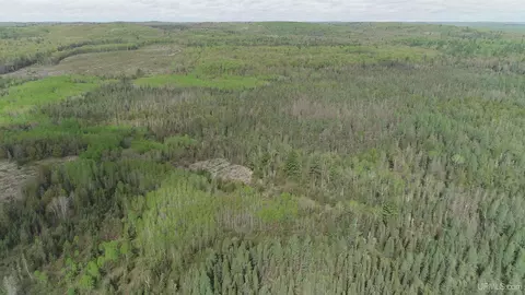 280 Acres County Road Ccn, Ishpeming, MI 49849 photo 31
