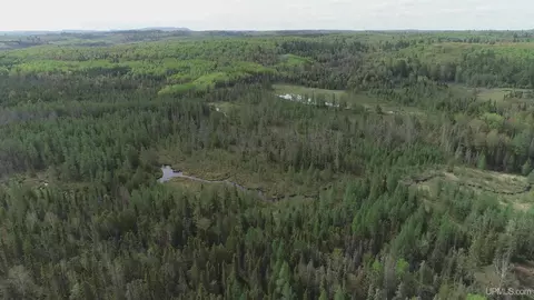 280 Acres County Road Ccn, Ishpeming, MI 49849 photo 4