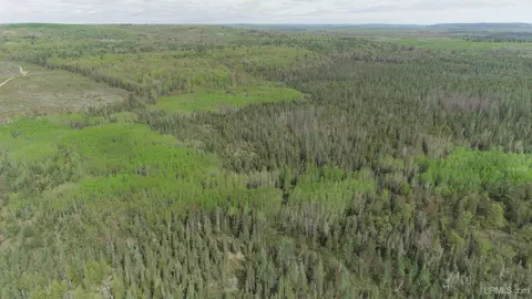 280 Acres County Road Ccn, Ishpeming, MI 49849 photo 26