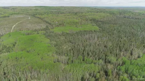 280 Acres County Road Ccn, Ishpeming, MI 49849 photo 27