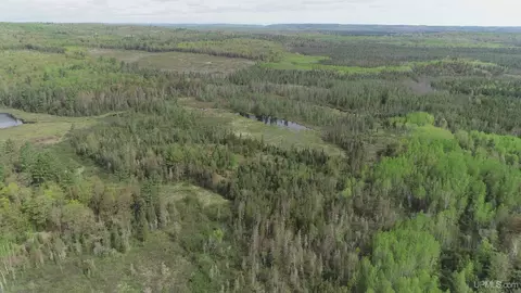 280 Acres County Road Ccn, Ishpeming, MI 49849 photo 19