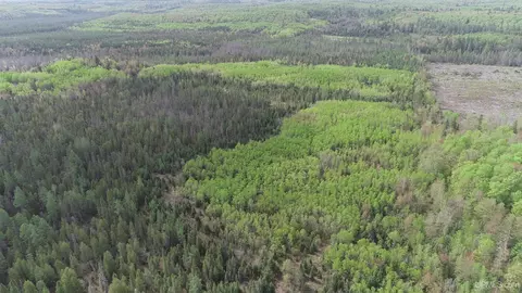 280 Acres County Road Ccn, Ishpeming, MI 49849 photo 44