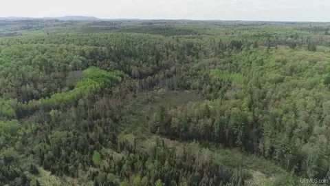 280 Acres County Road Ccn, Ishpeming, MI 49849 photo 11