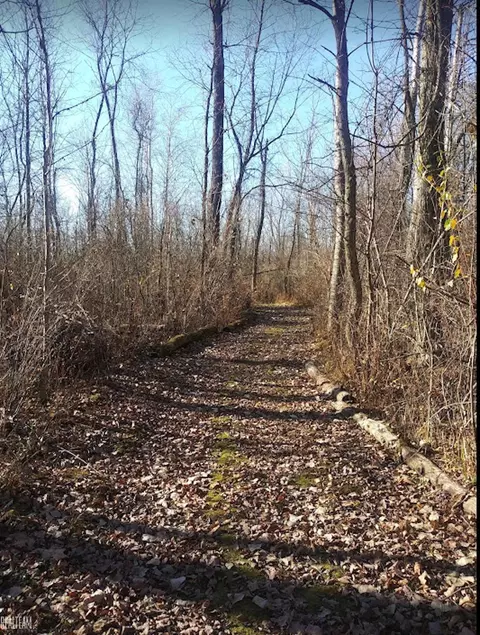 0 James, Baldwin, MI 43040 photo 9