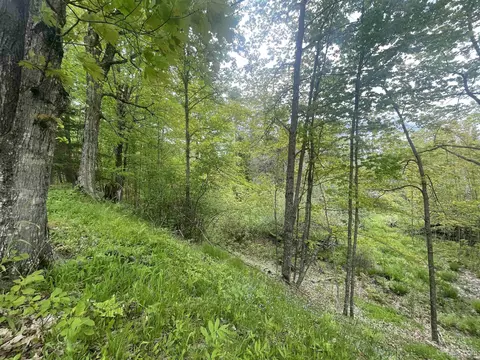 Payne, Baraga, MI 49908 photo 14