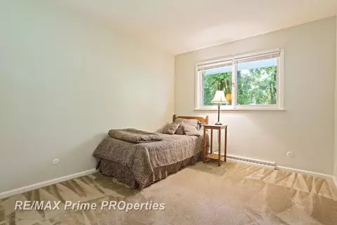 232 Jefferson, Vassar, MI 48768 photo 35