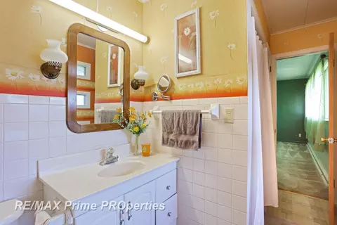 232 Jefferson, Vassar, MI 48768 photo 33
