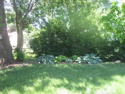 47335 Eldon, Shelby Township, MI 48317 photo 23