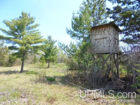Other - 19145 Mcrae, Ewen, MI 49925 photo 31 of 64