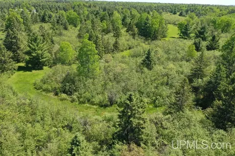 Other - 19145 Mcrae, Ewen, MI 49925 photo 60 of 64