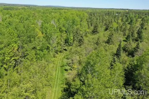 Other - 19145 Mcrae, Ewen, MI 49925 photo 63 of 64