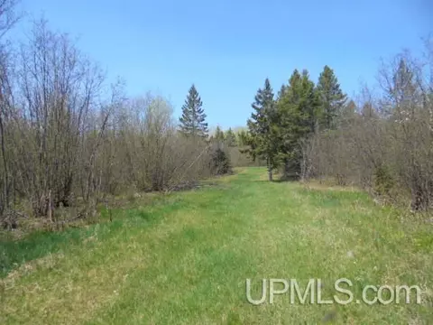 Other - 19145 Mcrae, Ewen, MI 49925 photo 23 of 64