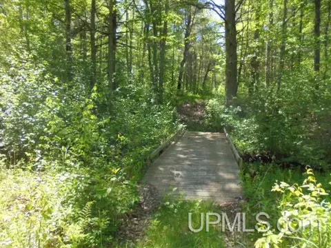 Other - 19145 Mcrae, Ewen, MI 49925 photo 25 of 64