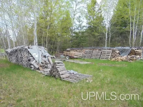 Exterior - 19145 Mcrae, Ewen, MI 49925 photo 8 of 17