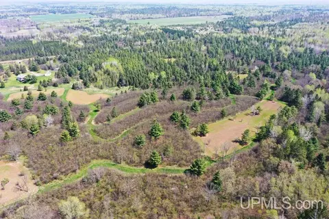 Other - 19145 Mcrae, Ewen, MI 49925 photo 61 of 64
