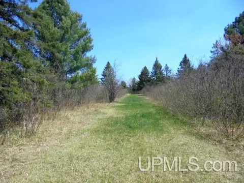 Other - 19145 Mcrae, Ewen, MI 49925 photo 36 of 64
