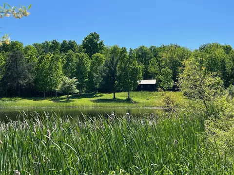 2386 Sunny Rdg, Comins, MI 48619