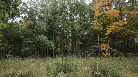 11587 Grames, Milan, MI 48160