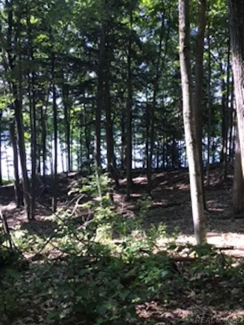 0 Pristine Woods Ln, Bellaire, MI 49615