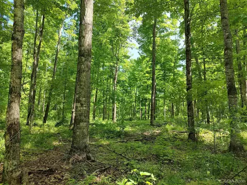 A-5541-n Huron Road - Parcel C, L'anse, MI 49946