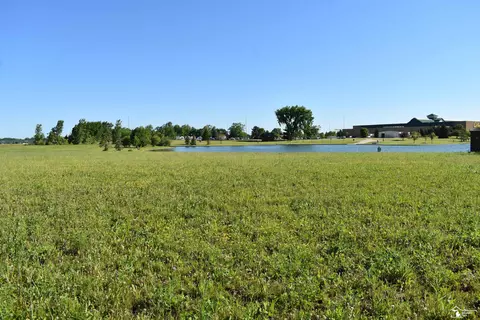 16488 Tecumseh, Dundee, MI 48131 photo 4