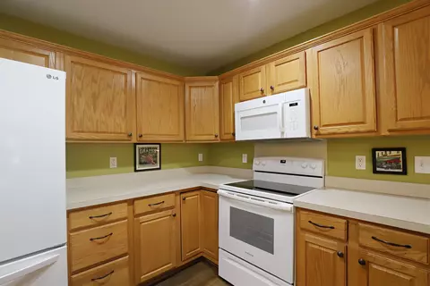 7156 Burning Bush, Flushing, MI 48433 photo 11