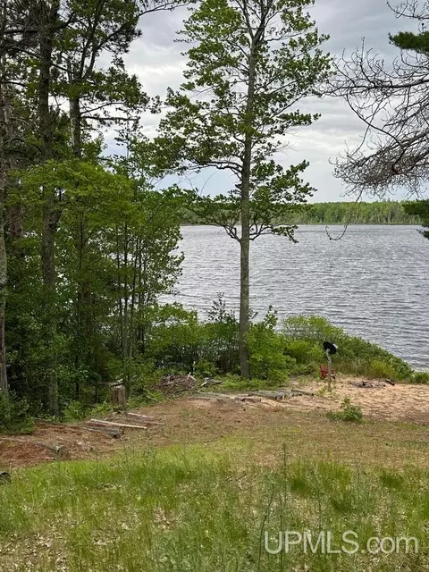 E195 Sand Lake, Deerton, MI 49822