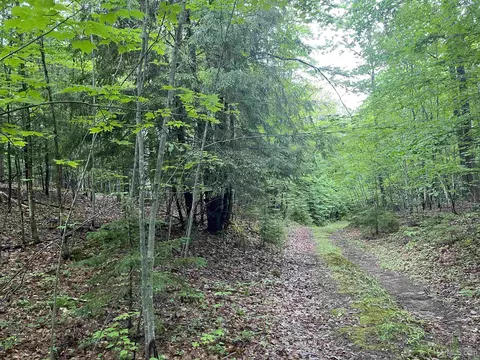 240 Acres Off Mclaughlin, Skandia, MI 49885