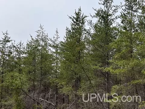 80 Acres Off Cr Nh, Marquette, MI 49855