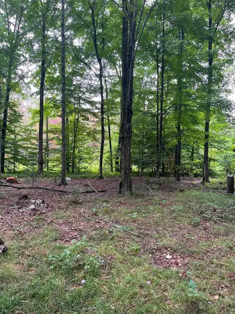 7956 E Mary, Newaygo, MI 49337 photo 3