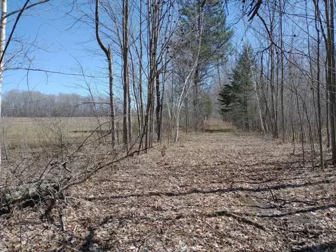 Other - 515 S Hawkins, Gladwin, MI 48624 photo 10 of 23