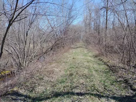 Other - 515 S Hawkins, Gladwin, MI 48624 photo 22 of 23