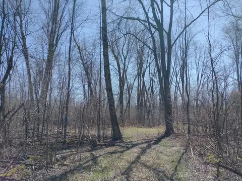 Exterior - 515 S Hawkins, Gladwin, MI 48624 photo 11 of 13