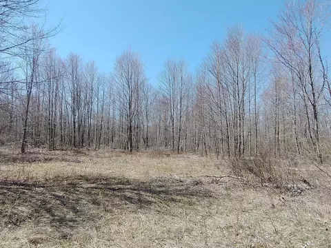 Other - 515 S Hawkins, Gladwin, MI 48624 photo 14 of 23