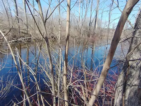 View/Area - 515 S Hawkins, Gladwin, MI 48624 photo 1 of 3