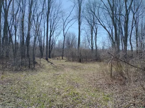 Exterior - 515 S Hawkins, Gladwin, MI 48624 photo 12 of 13